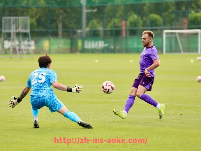 澳客足彩-哪些意甲球队曾经问鼎冠军？历年冠军俱乐部总览