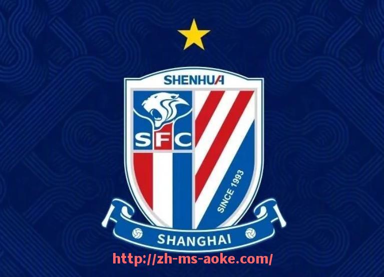 澳客足彩-德甲2024球队身价：2024年德甲球队的最新身价排名