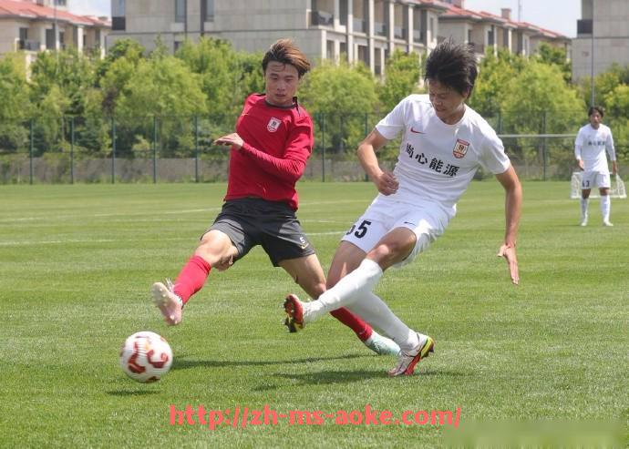 澳客足彩-意甲哪个球队拥有最多金星荣誉及历史辉煌