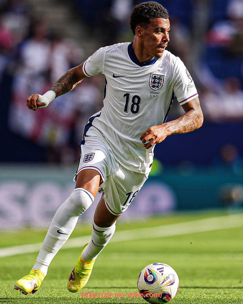 澳客足彩-英超球队球员高清图片精选与队内介绍图册